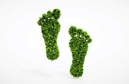 footprints made of leaves footprints made of leaves