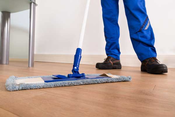 microfiber mop