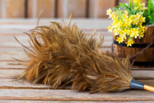 Should you wash an ostrich feather duster