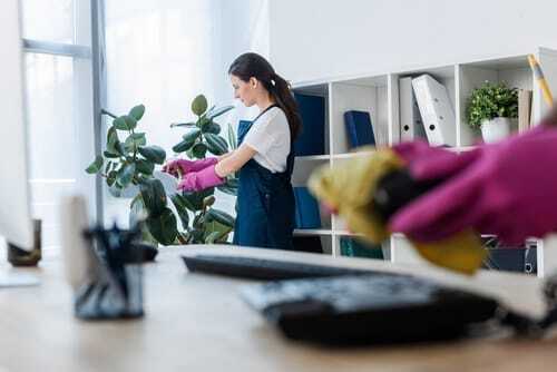 Where can I find a reliable cleaning service near me in Greer, SC