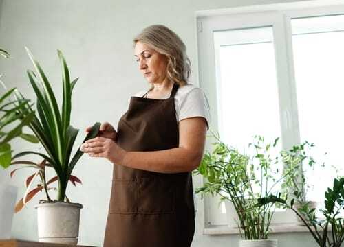 Who offers the best house cleaning services near me in Greer, SC