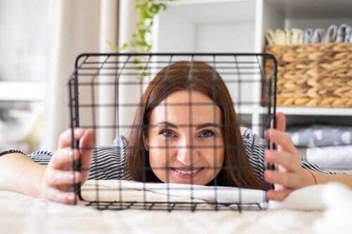 Why is it important to clean pet cages regularly Why is it important to clean pet cages regularly
