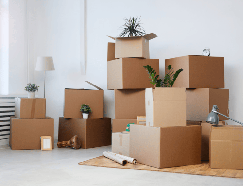 Move-In & Move-Out Cleaning Services in Greenville: What You Need to Know