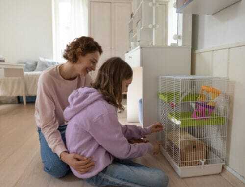 Why Busy Homeowners in Greenville, SC Choose Professional Maid Services