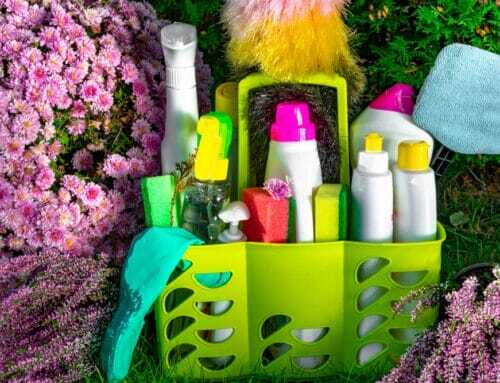 Eco-Friendly Summer Cleaning Solutions for Greenville Families: Safe, Sustainable, and Spotless