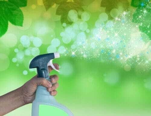 Why Greenville Homeowners Trust Eco-Friendly Cleaning Services