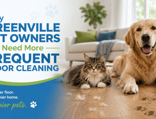 Why Greenville Pet Owners Need More Frequent Floor Cleaning