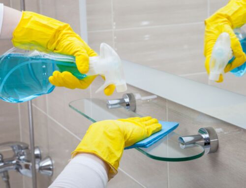 The Ultimate Guide to Keeping Charleston Bathrooms Sparkling Year-Round