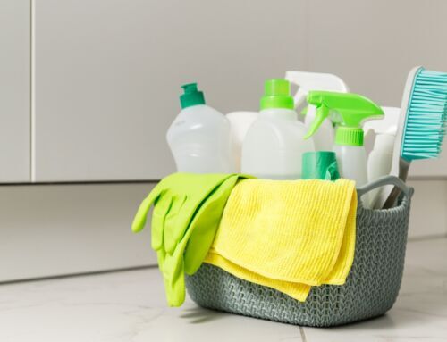 Apartment Cleaning Essentials For Busy Charleston Renters