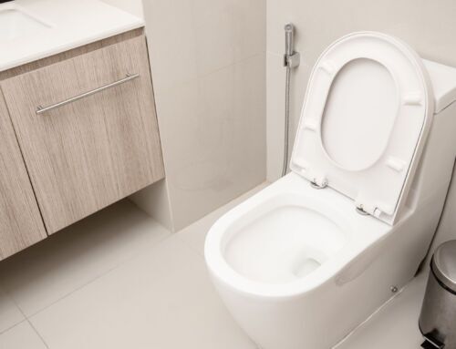 Toilet Cleaning in Charleston Homes: Professional Tips for a Hygienic Bathroom