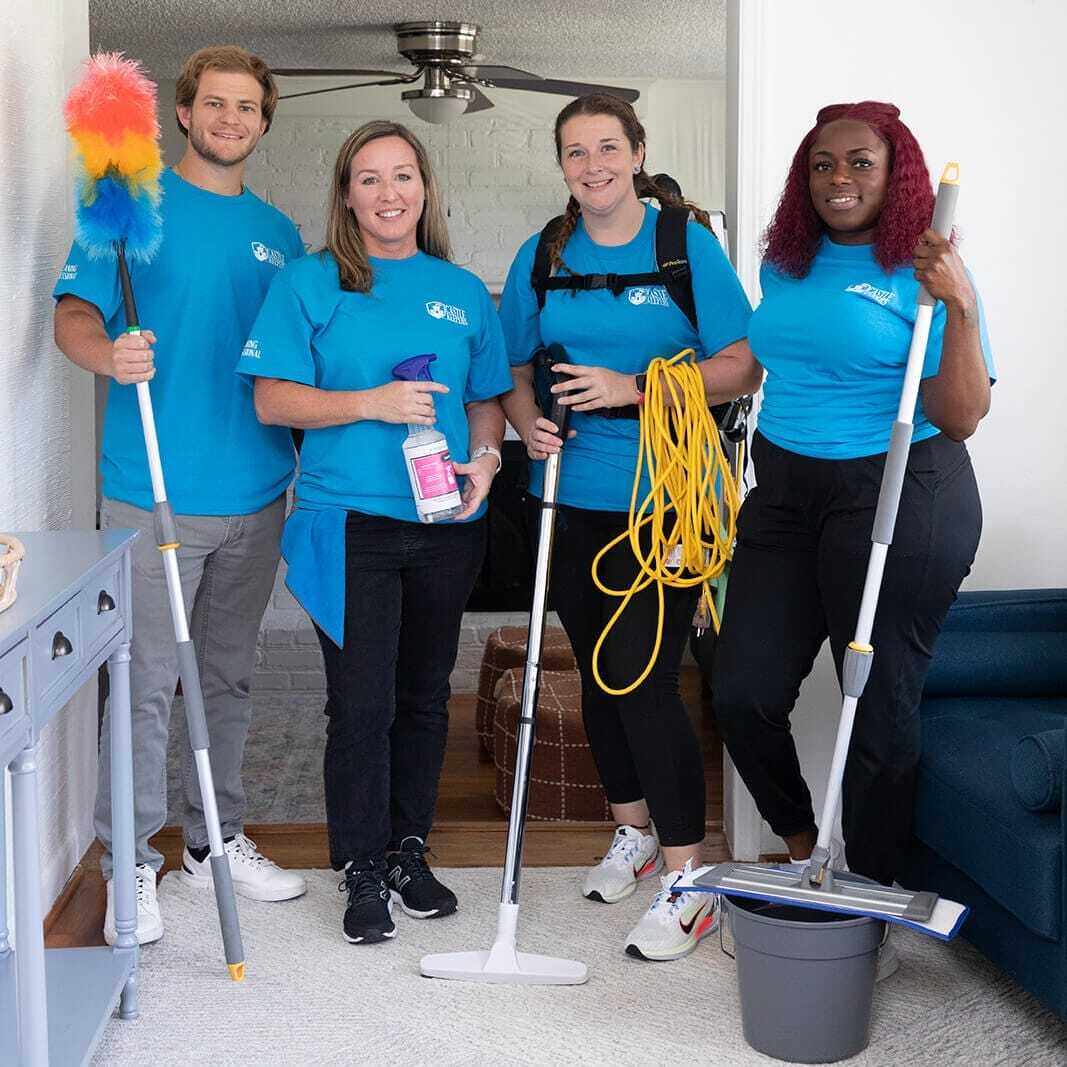 Mount Pleasant Maid Services